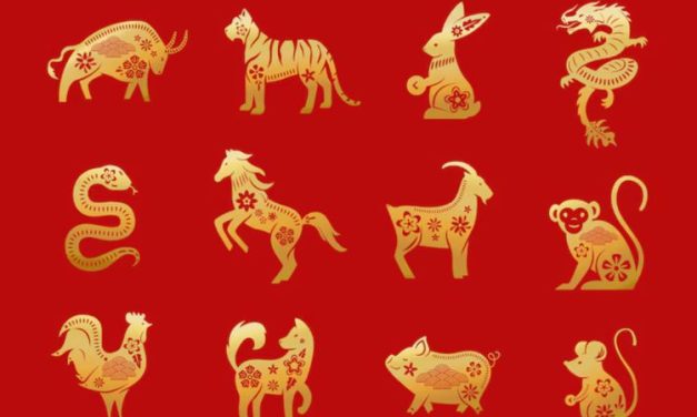 Kucing Tidak Masuk dalam Shio? Legenda Makna Zodiak China
