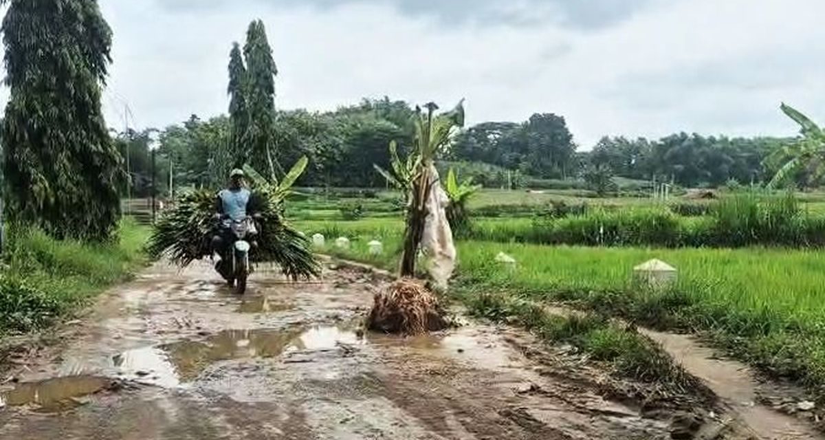 DPUPKP Ponorogo Siapkan Perbaikan Jalan Mlarak–Kaponan