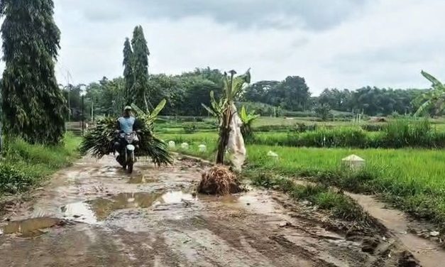 DPUPKP Ponorogo Siapkan Perbaikan Jalan Mlarak–Kaponan