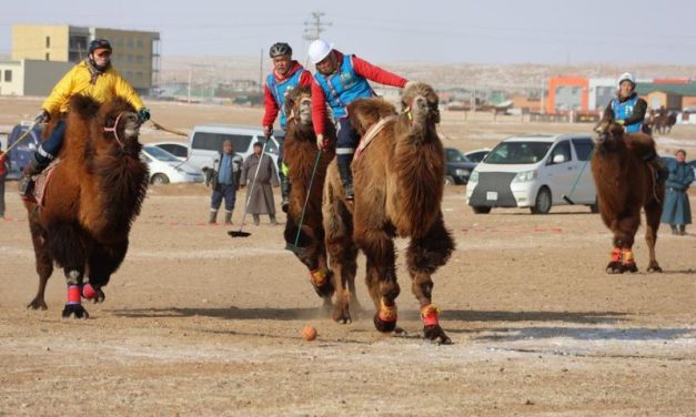 Festival Unta Mandalgovi Dorong Pariwisata Mongolia