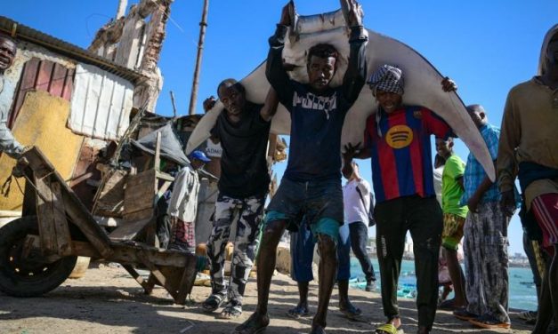 Somalia: Potensi Maritim Strategis di Tanduk Afrika