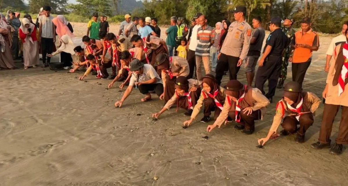 Pelepasan Tukik di Pantai Blangmee Konservasi Penyu Aceh Besar