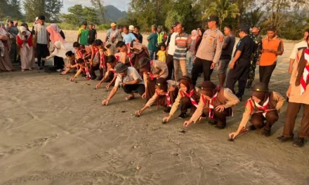 Pelepasan Tukik di Pantai Blangmee Konservasi Penyu Aceh Besar