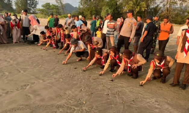 Pelepasan Tukik di Pantai Blangmee Konservasi Penyu Aceh Besar