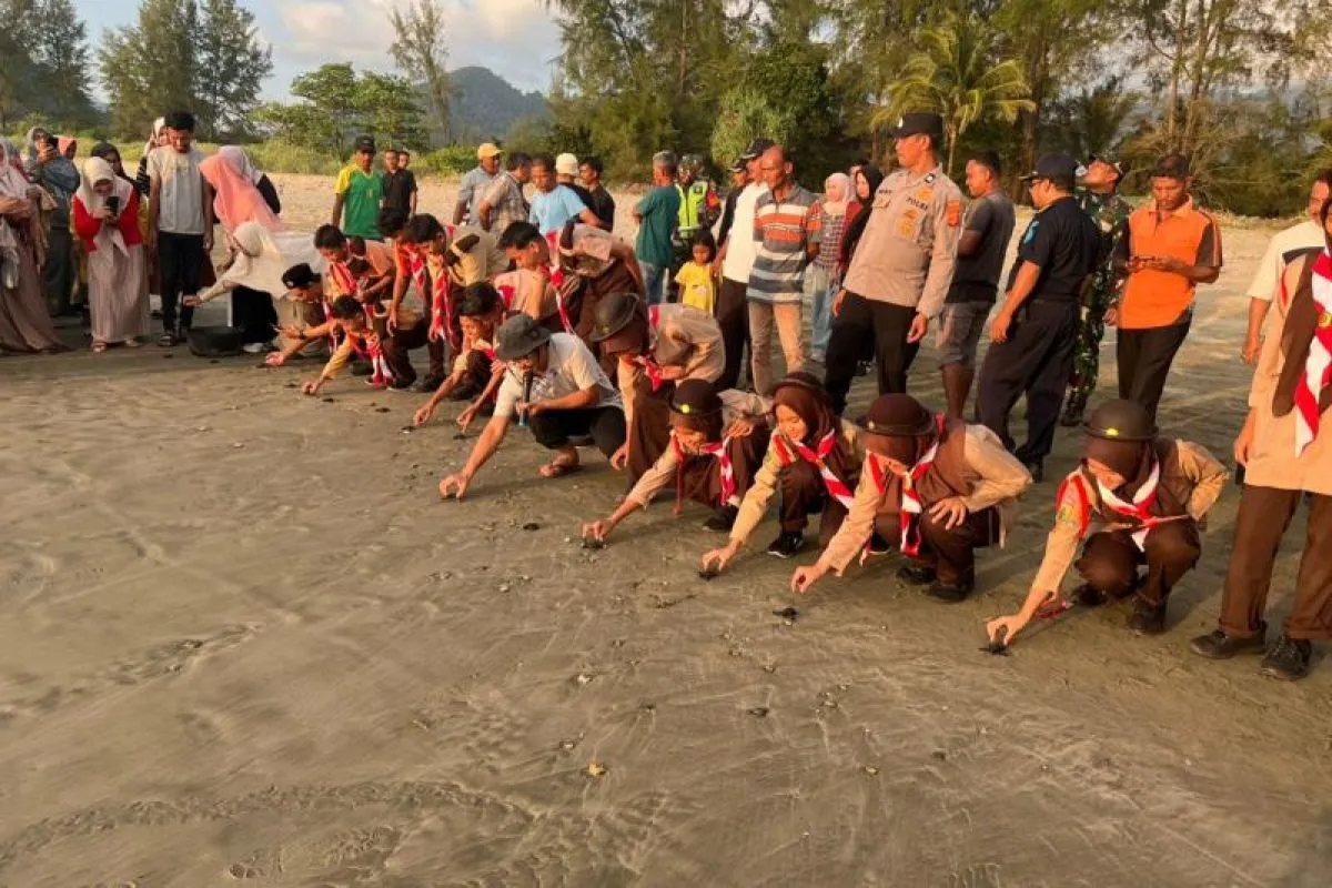 Pelepasan Tukik Aceh