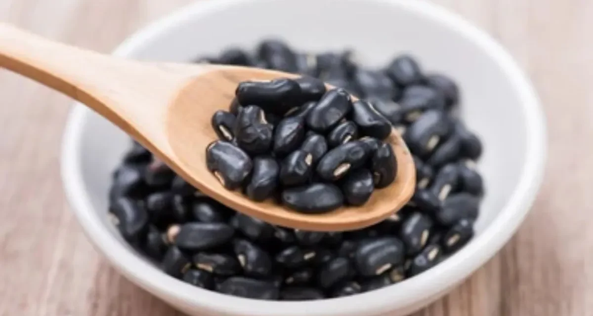 Kacang Hitam bagi Kesehatan: Sumber Nutrisi Alami Antioksidan