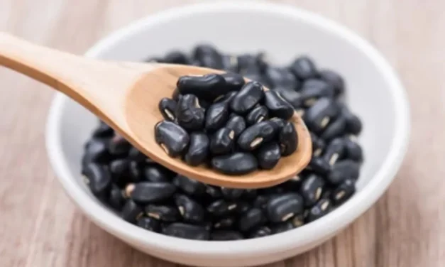 Kacang Hitam bagi Kesehatan: Sumber Nutrisi Alami Antioksidan
