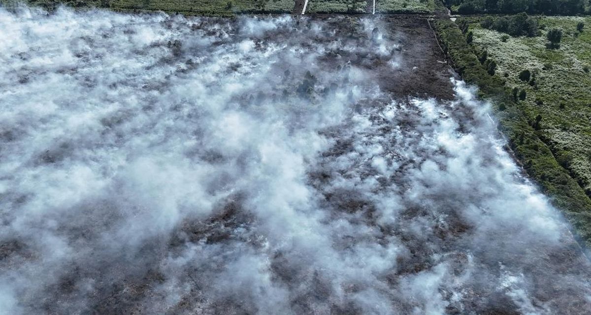 Kebakaran Hutan Lahan di Aceh Barat Meluas hingga 50 Hektare