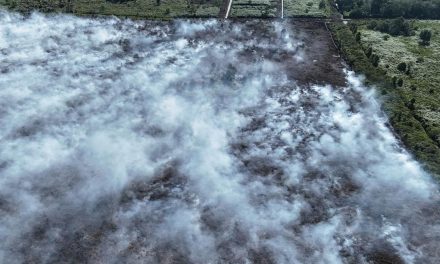 Kebakaran Hutan Lahan di Aceh Barat Meluas hingga 50 Hektare
