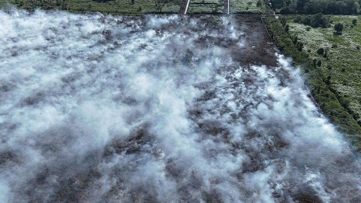 Kebakaran Hutan Lahan
