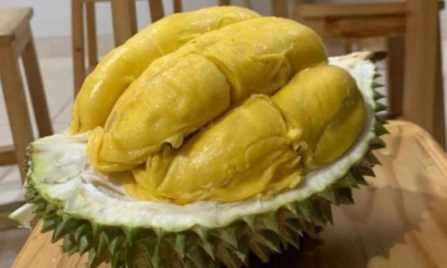 Harga Anjlok 60 Persen, Petani Tertekan Konsumen Diuntungkan