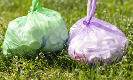 Korsel Borong Kantong Sampah dan Tiket Pesawat Melonjak