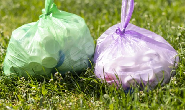 Korsel Borong Kantong Sampah dan Tiket Pesawat Melonjak