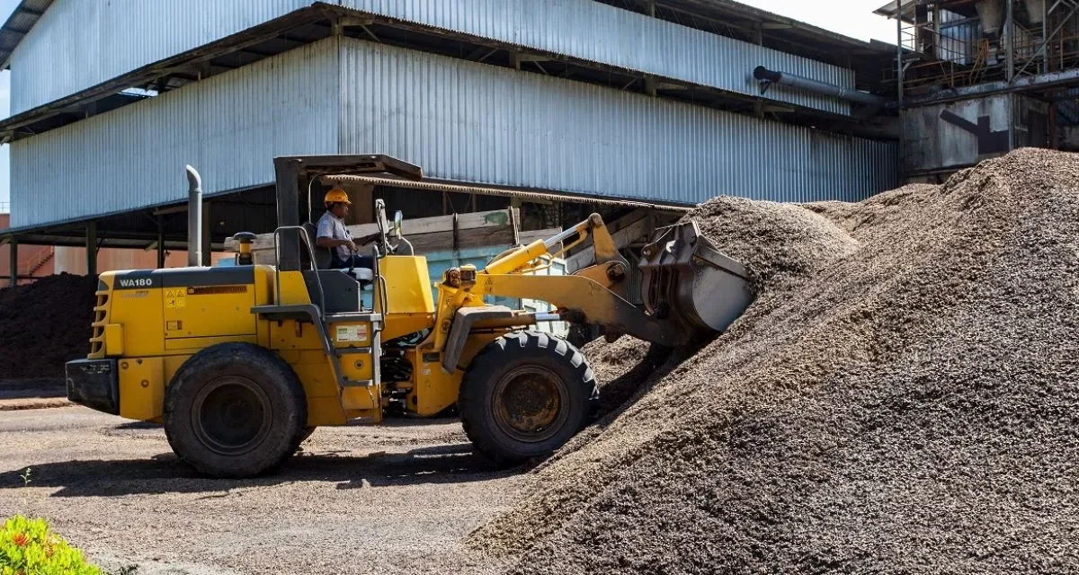 Optimalisasi Limbah Kelapa Sawit sebagai Sumber Nilai Tambah