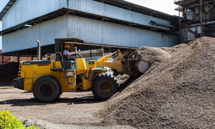 Optimalisasi Limbah Kelapa Sawit sebagai Sumber Nilai Tambah