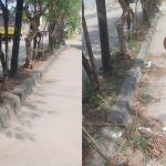 Integritas Kerja Petugas PPSU Era Digital Tantangan Transparansi