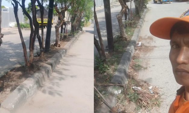 Integritas Kerja Petugas PPSU Era Digital Tantangan Transparansi