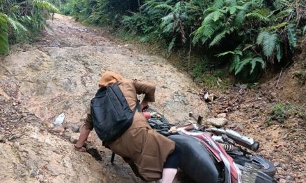 Viral Guru Terjatuh dan Lagu Petani Ungkap Kondisi Jalan Rusak