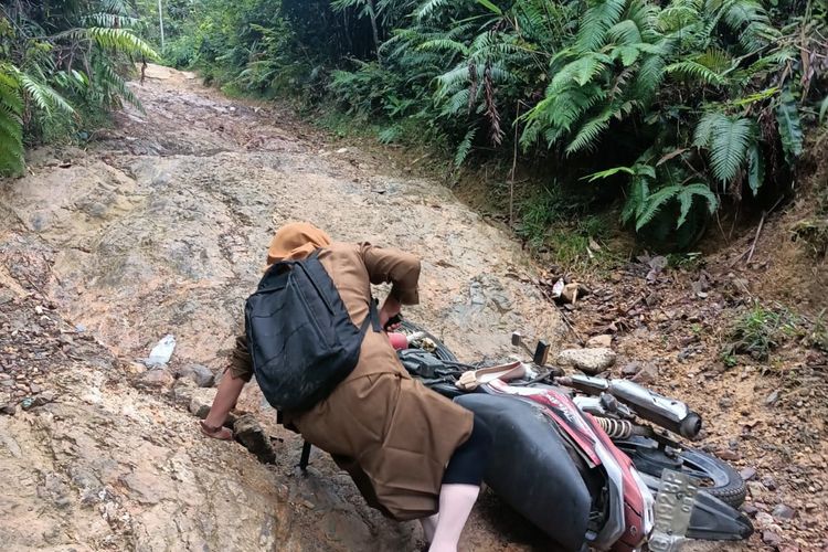 Viral Guru Terjatuh dan Lagu Petani Ungkap Kondisi Jalan Rusak