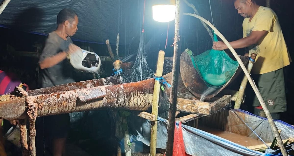 Tradisi Pukul Sagu Morekau, Warisan Leluhur yang Menjaga Ketahanan Pangan
