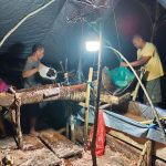 Tradisi Pukul Sagu Morekau, Warisan Leluhur yang Menjaga Ketahanan Pangan