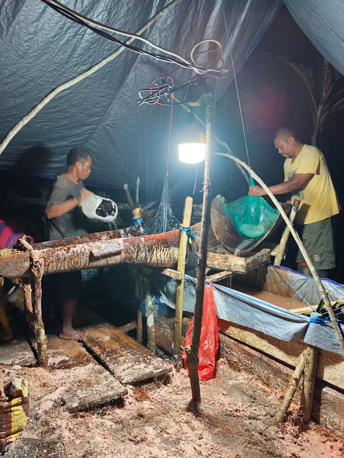 Tradisi pukul sagu Morekau