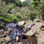 7 Wisata Sejuk Selain Lembang yang Punya Panorama Memukau