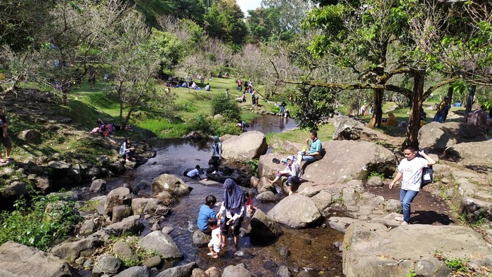 Panorama wisata alam sejuk selain Lembang dengan pegunungan hijau, hutan pinus, dan danau yang menjadi destinasi liburan di Jawa Barat.