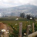 7 Wisata Sejuk di Jawa Tengah Selain Dieng, Dijamin Bikin Betah