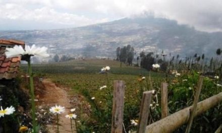 7 Wisata Sejuk di Jawa Tengah Selain Dieng, Dijamin Bikin Betah