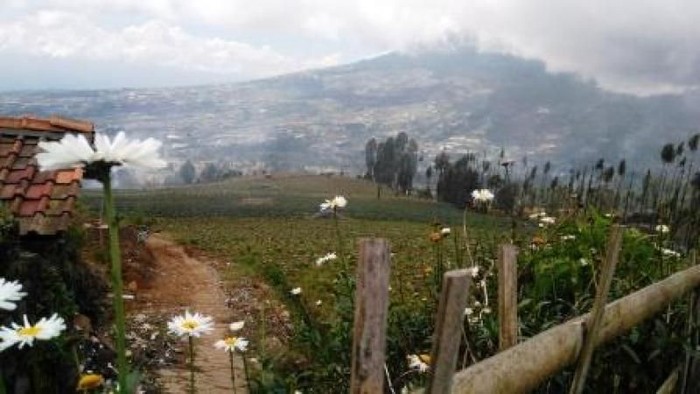 7 Wisata Sejuk di Jawa Tengah Selain Dieng, Dijamin Bikin Betah