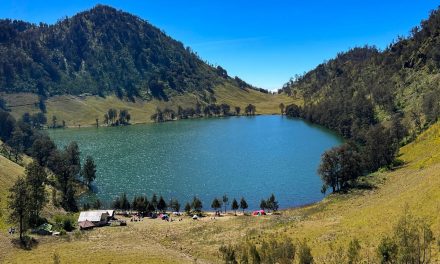 Kebakaran Hutan di Ranu Kembang Tutup Seluruh Jalur Pendakian Gunung Semeru